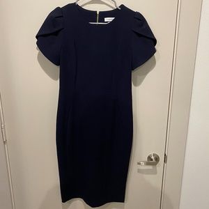 Navy Calvin Klein Work Dress